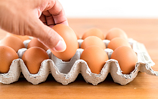 Polska w czołówce producentów jaj w Unii Europejskiej